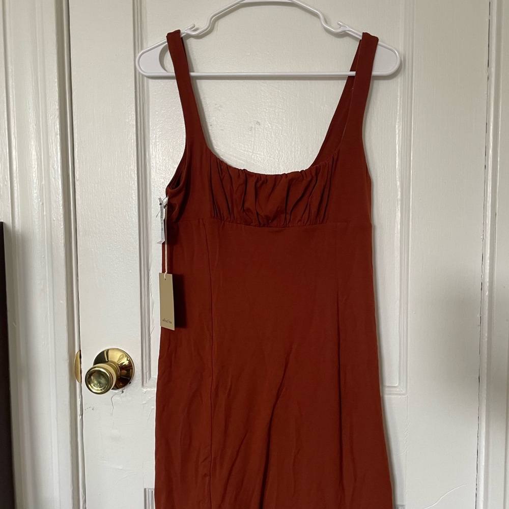 Orbit Aritzia dress